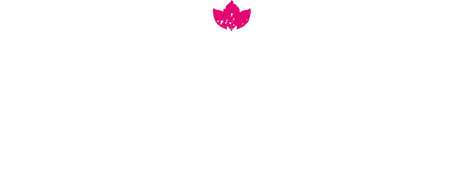 Bomba Tacos